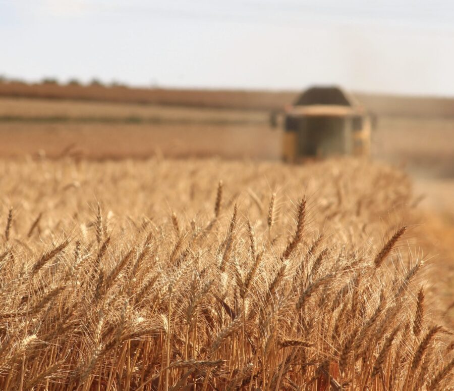 meric-tuna-CE1OvMrZumQ-unsplash